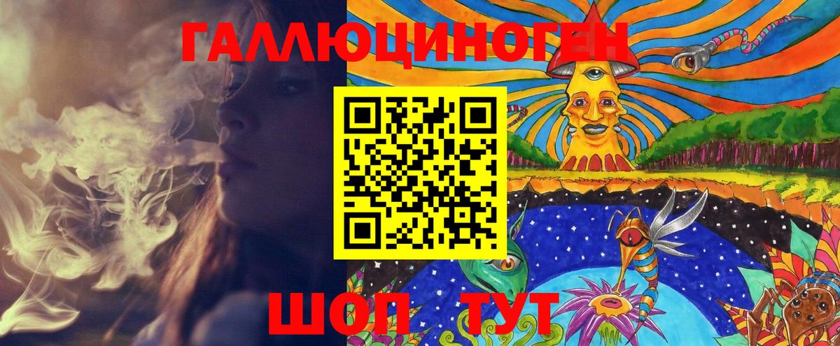 купить наркотик  Вход с VPN  Новодвинск  Галлюциногенные грибы GOLDEN TEACHER 