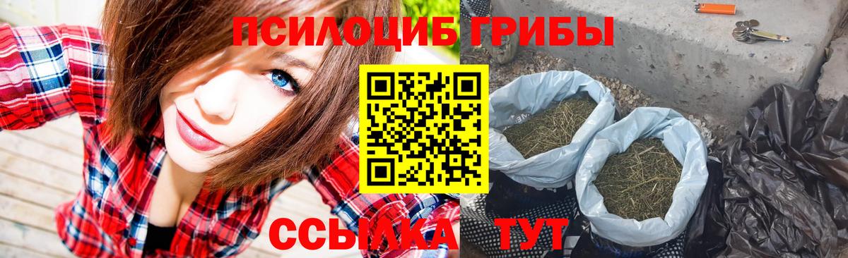 Галлюциногенные грибы Cubensis Новодвинск